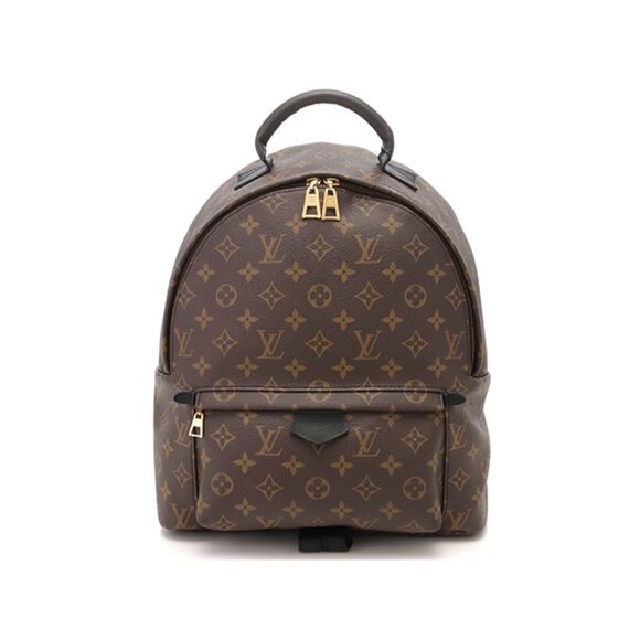 Louis Vuitton Palm Springs Backpack MM - Picture 1 of 5